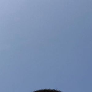 Meet your Posher, Jerry